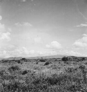 Landschaft : Blick über die Landschaft bei Kahe