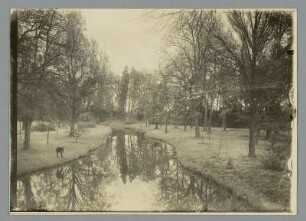 Wörlitz