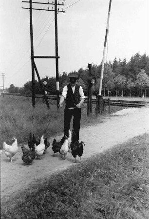 Kleinsteinberg; Deutsche Reichsbahn; Bahnwärter füttert Hühner, mehr Hühner
