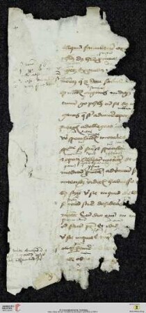 Medizinischer Text