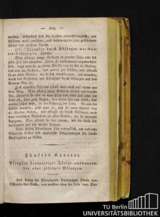 Fünftes Kapitel. Pfropfen krautartiger Theile ausdauernder oder jähriger Pflanzen.