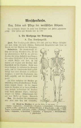 Menschenkunde