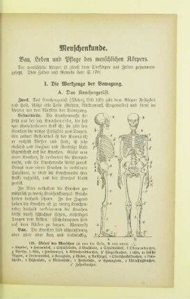 Menschenkunde