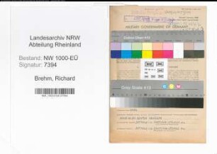 Entnazifizierung Richard Brehm, geb. 24.07.1898 (Bankangest.)