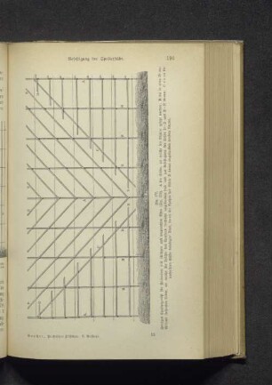 Fig. 177. Fertiges Spaliergerüst für Palmetten...