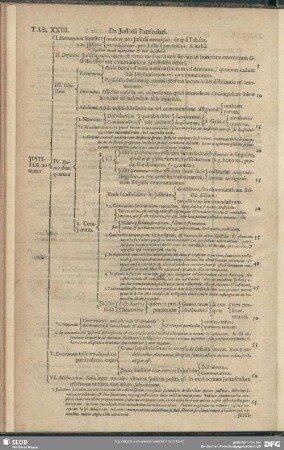 Tab. XXIII. De Justitia Particulari