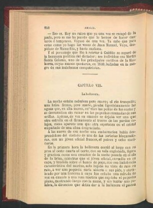Capítulo VIII. - La ballenera.