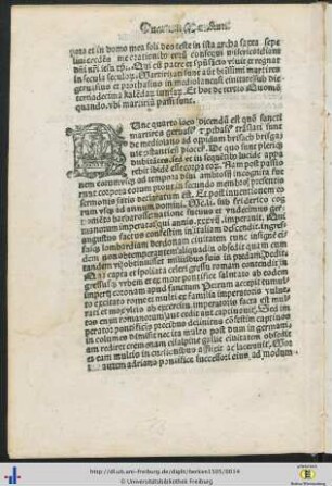 Quartum Membrum