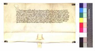 König Ruprecht befiehlt den Städten Ulm, Esslingen und Schwäbisch Hall, die nächste Jahressteuer dem Symond von Eberbach, Haushofmeister zu Heidelberg, zu zahlen.