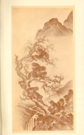 Group of monkeys