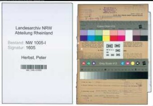Entnazifizierung Peter Herbst , geb. 05.03.1898 (Gleisbau-Polier)