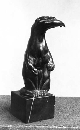 Fischotter