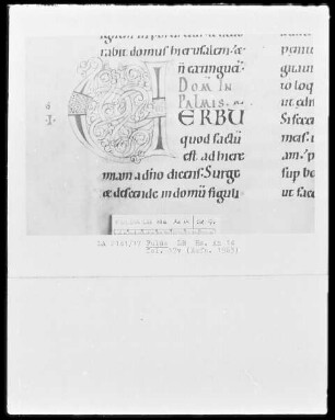 Lectionarium Matutinale — Initiale V, Folio 17verso