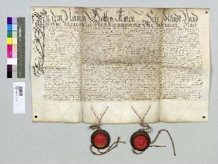 Das Domkapitel zu Regensburg verkauft an Bischof Albrecht zu Regensburg einen Domherrenhof in der Schäffnerstraße gegenüber dem Brixener Hof. S1: Bischof Albrecht, S2: Domkapitel