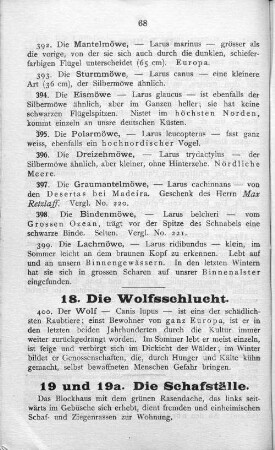 18. Die Wolfsschlucht.