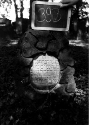 Grabstein 393 (Index: 100111835) Material: Kalkstein, weiße Marmorplatten Zustand: leicht verwittert Maße HxBxT: 65x44x21 cm Beschreibung: Stele, rustica, zwei ovale Schriftplatten Besonderheit: Kindergrab: Grabstein 393
