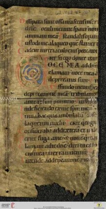 Psalterium
