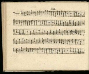XIII. Sine textu