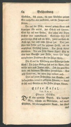 [Elfte Tafel. - Zwanzigste Tafel.]