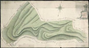 Geometrischer Plan über den im Freiaemter Bann liegenden herrschaftl. Stekwald. Ähnlich wie 1. Landesaufnahme.