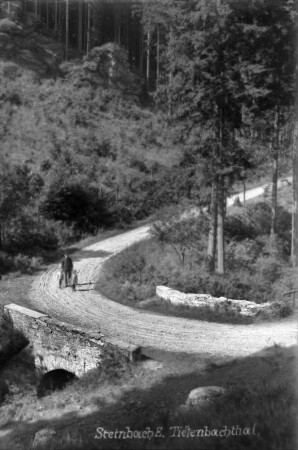 Alte Schmalzgrubner Straße mit Tiefenbach-Brücke : Der Hang hinter den Personen wird auch "Jacubasch-Rutsch" genannt. An dieser Stelle wurde ein Förster von einem Wilderer erschossen und stürzte den Hang herunter.