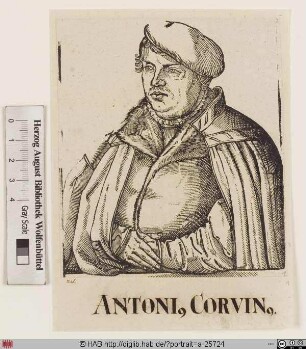 Bildnis Antonius Corvinus (eig. Rabe)