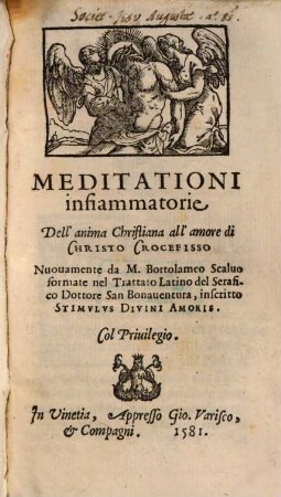 Meditationi infiammatorie dell'anima christiana