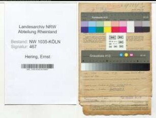 Entnazifizierung Ernst Hering , geb. 29.03.1901 (Schlosser)