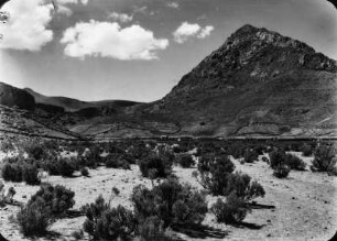 Alcaya : Alcaya bei Salinas de Garcí Mendoza. Im Hintergrund sind ein Berg sowie Bewässerungs- und Temporalfelder zu sehen.
