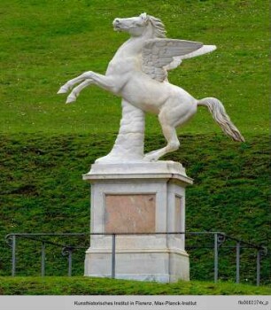 Pegasus