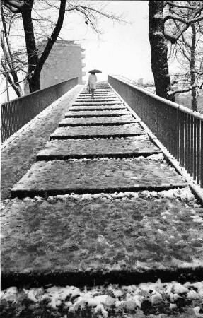 Erster Schneefall.