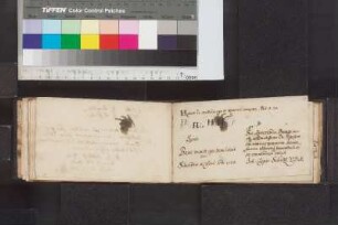 Schultze, Joh. Caspar; Blatt 37
