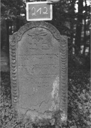 Grabstein 212 (Index: 99894747) Material: Sandstein Zustand: an mehreren Stellen abgeblättert Maße HxBxT: 113x58x10 cm Beschreibung: Stele mit eingezogenem Rundbogenabschluss Symbolik: Blüte, Schuppenmuster: Grabstein 212