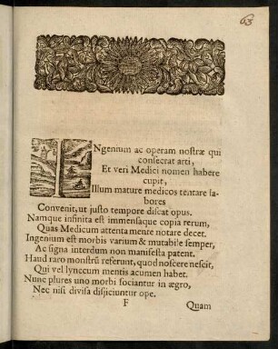 F1r-F4v, Verse