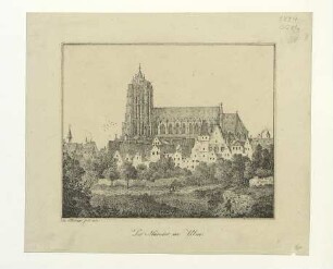 Ulm von Süden. Teilansicht. Um 1817