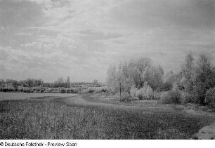 Wiesenlandschaft