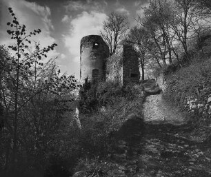 Archivfotografie "frankreich_elsass_ferret_23071"