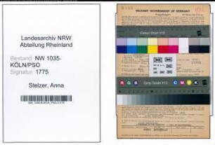 Entnazifizierung Anna Stelzer , geb. 04.09.1895 ()