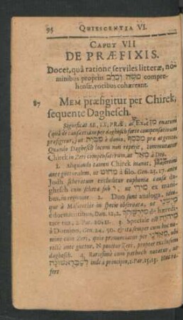 Caput VII. De Praefixis.