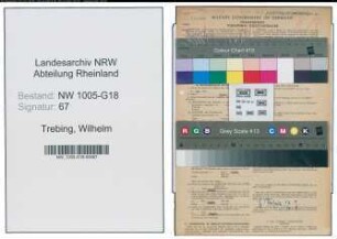 Entnazifizierung Wilhelm Trebing , geb. 04.04.1899 (Schuhmacher)