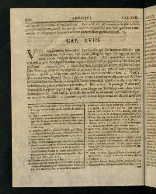 916-923, Cap. XVIII