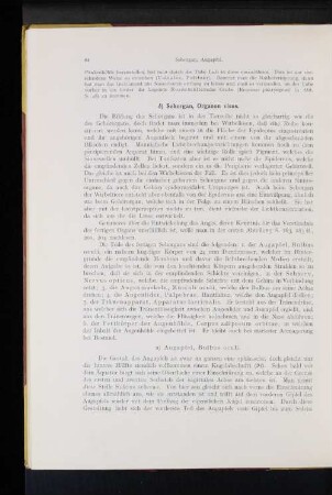 Sehorgan. Organon visus.