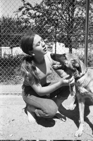 Aufnahme vermisster und herrenloser Hunde im Tierheim Daxlanden in der Hermann-Schneider-Allee 20