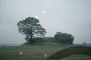 Sühlen: Grabhügel "Grabenberg" [Denkmalbuch Nr. 3]: auf Acker