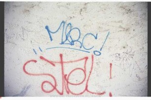 SteL!