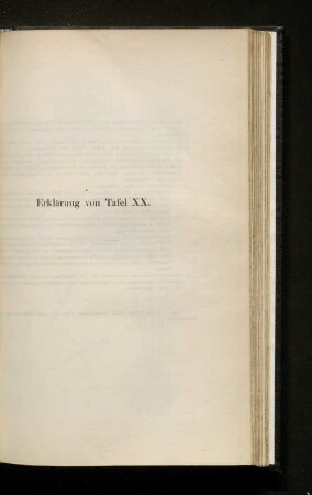 Erklärung von Tafel XX.