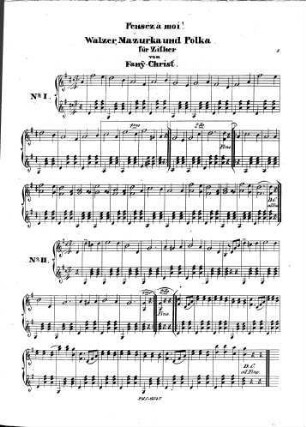 Pensez à moi : Walzer, Mazurka u. Polka für Zither