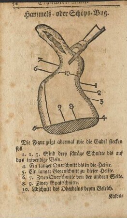 Hammels- oder Schöps-Bug.
