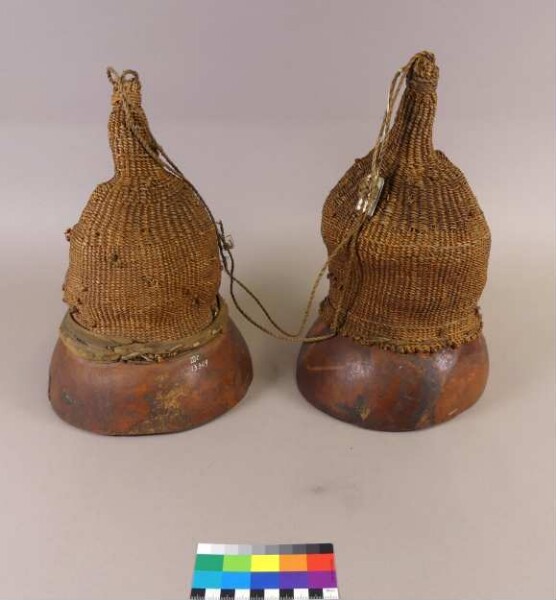 A pair of rattles