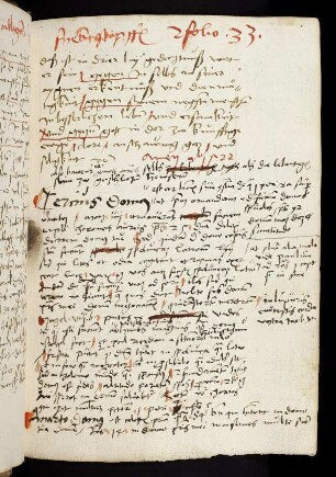 33r-33v Sermo 104 de dedicatione ecclesiae, Exzerpt